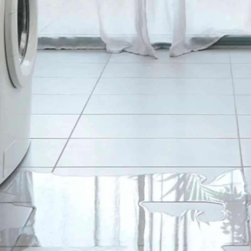 Appliance Leak Cleanup in Sauk City, WI