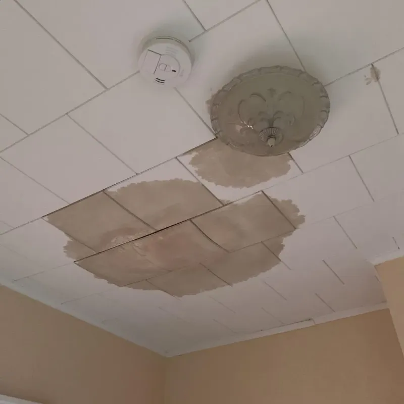 Ceiling Water Damage Repair in Sauk City, WI