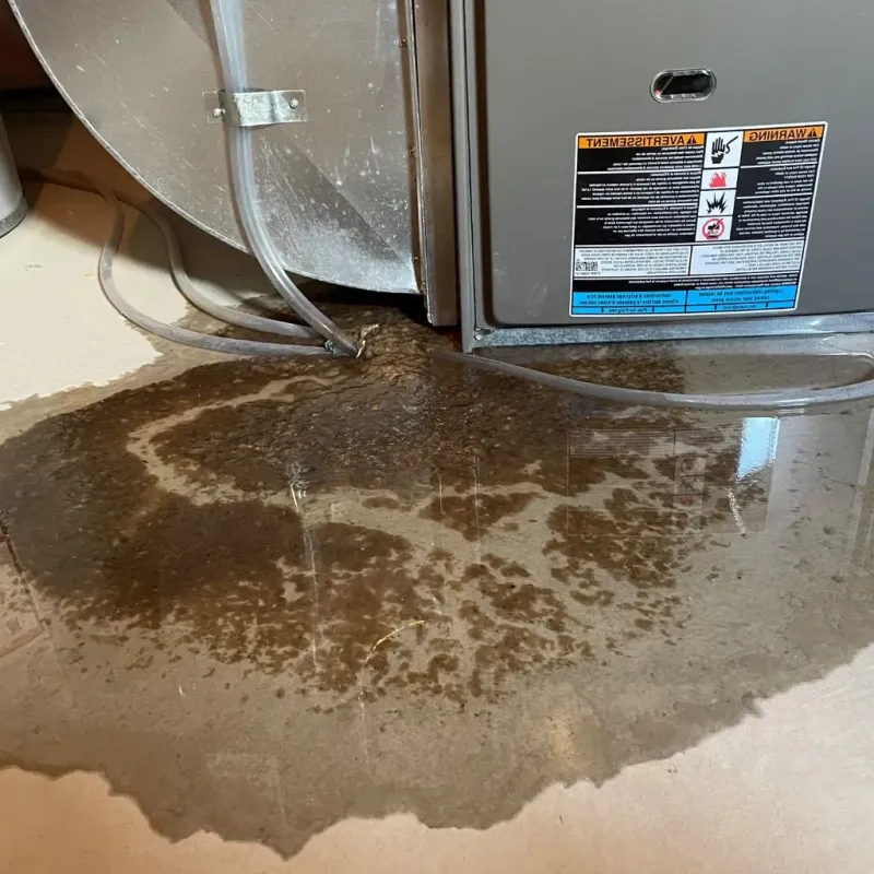 Pipe Burst and Leak Restoration in Sauk City, WI